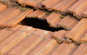 roof repair Stoke Heath